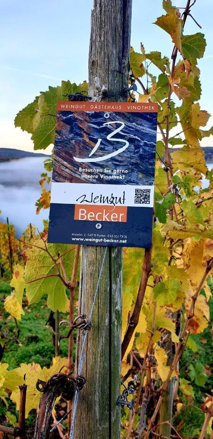 Weingut U. Gaestehaus Becker Platten Екстериор снимка