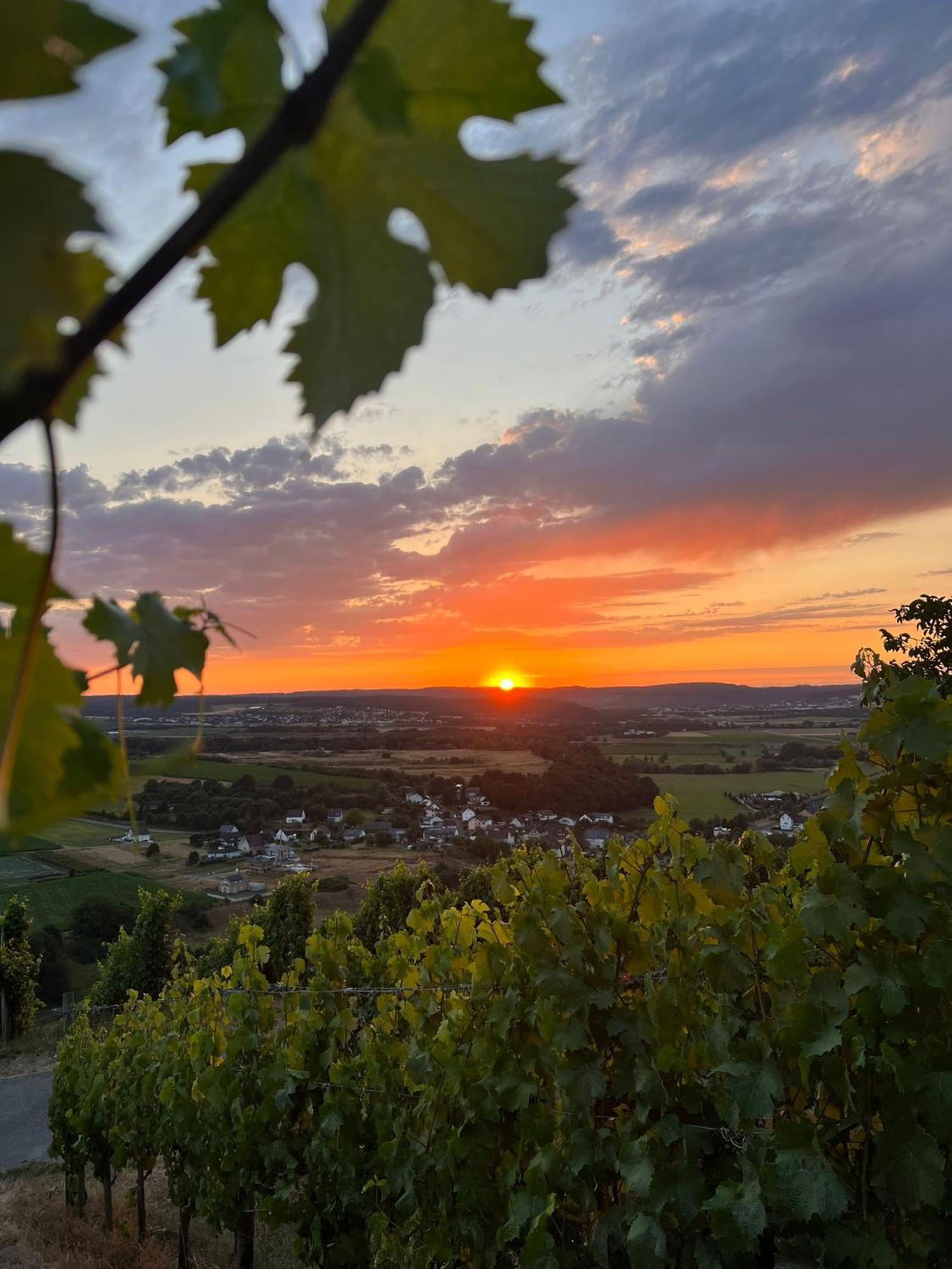 Weingut U. Gaestehaus Becker Platten Екстериор снимка